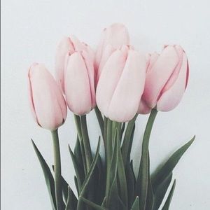 Meet your Posher, Tatiana